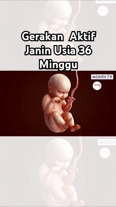 Gerakan Aktif Janin Usia 36 Minggu Kehamilan