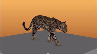 Cat Walk by William Roberts
