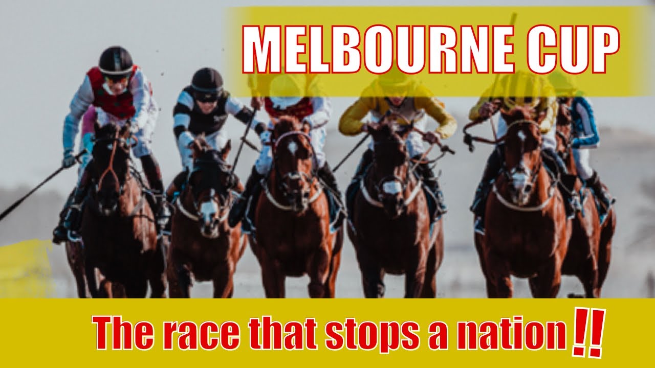 Melbourne Cup: All You Need to Know