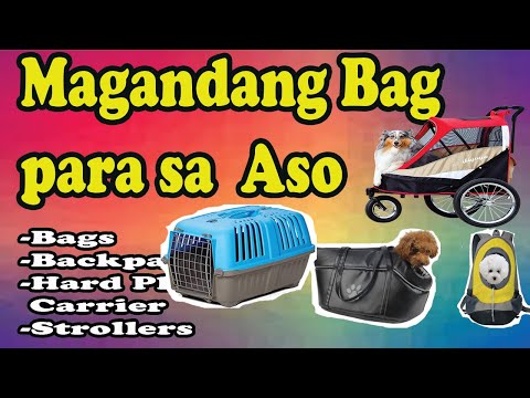 Video: Paano Pumili Ng Isang Dog Carrier Bag
