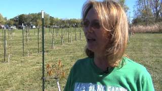 Urban farm takes root in Flint
