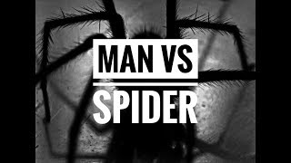 Man VS Spider