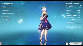Maxed Level 1 Ayaka Damage Testing