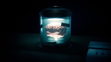 KT Tunstall - Brain In A Jar | Official Music Video