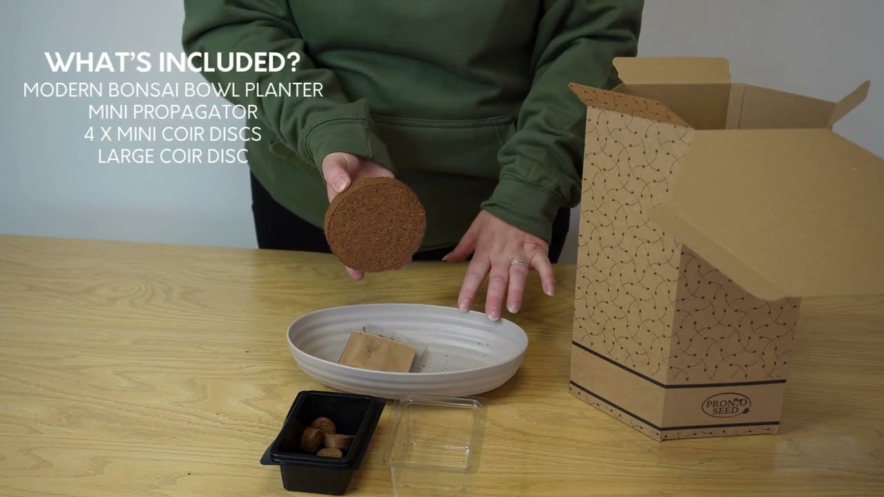 Unboxing the Pronto Seed Bonsai Trio Kit | Grow Your Own Redbud, Sweetgum & Pine Bonsai