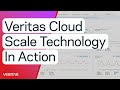 Veritas cloud scale technology in action