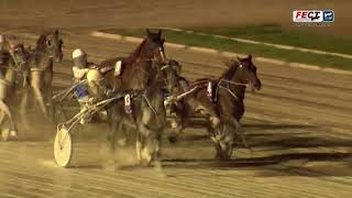 Vidéo de la course PMU CAMPIONAT DE BALEARS D'AMATEURS