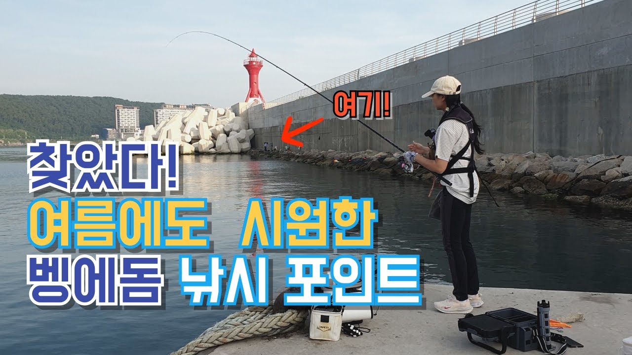 여름에도 시원한 벵에돔 도보포인트