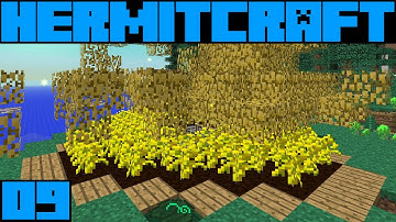 Hypno HermitCraft FTB Unleashed S2E09: Force Tree Farm