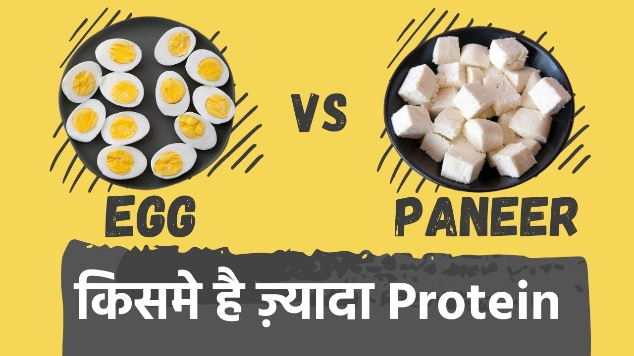 egg-vs-paneer-protein-youtube