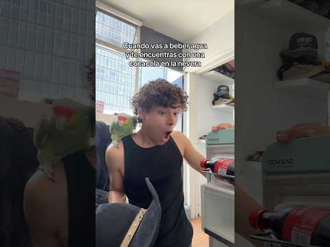 Se cruzó en mi camino #shorts #estibi #comedia #animals #humor