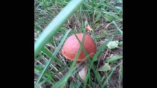 20150814 151948