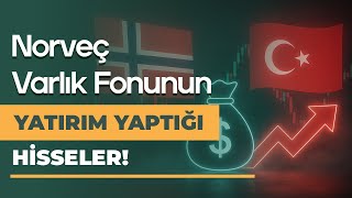 Norveç Varlık Fonu Hangi Yerli Hisselere Yatırım Yapıyor?
