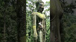 A worker was cleaning a massive moss-covered Buddha statue high above the forest...