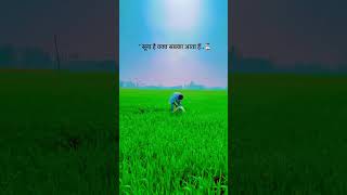 बस उसी वक्त का इंतज़ार है #trending #viralmusic #shortvideo #motivation #viral #farming