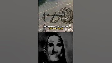 Fear & Hunter Termina USELESS TRIVIA #fearandhunger #memes