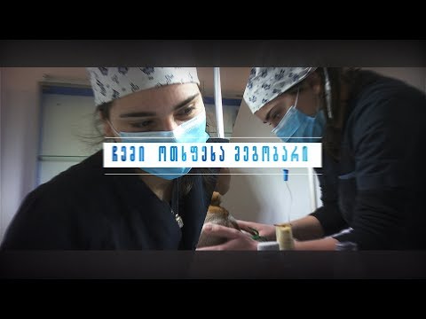 ჩემი ოთხფეხა მეგობარი - აგროTV