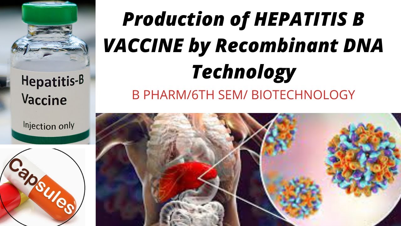 Production of HEPATITIS B VACCINE by Recombinant DNA Technology ...