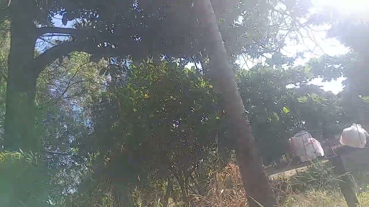 Esse lugar é realmente maravilhoso,bem arborizado,eu amo demais,🌿