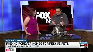 Save the Animals Foundation seeking individuals interested in adopting pets