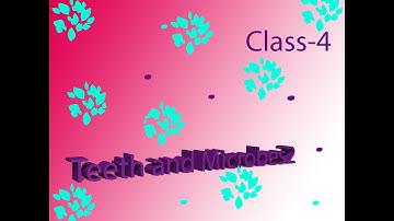 Teeth and Microbes Class-4 Science (Part-2)