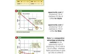 Absolute vs Comparative Advantage