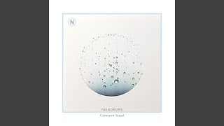 Raindrops