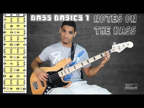 bass-basics-1:-the-notes-on-the-bass