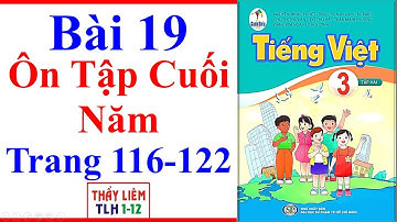 Tiếng Việt Lớp 3 Bài 19 | Ôn Tập Cuối Năm | Trang 116 - 122 | Cánh Diều | Tập 2