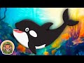 Meet The Orca! | Animal Songs For KIds | KLT WILD