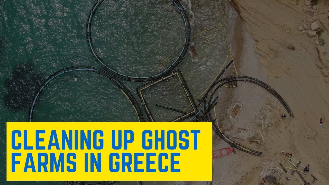 Abandoned Fish Farms in Greece: Ghost Farm Clean Up by Healthy Seas