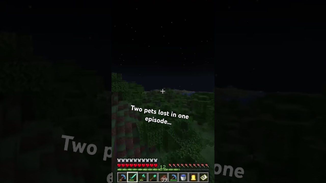 Willy might be dead… #minecraft #gaming #survival #games #minecraftsad #sad