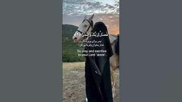سوره کوثر با زیر نویسی فارسی و انگلیسی #ترجمه_فارسی_قرآن_کریم#خدایا_شکرت#خدایا_هدایت_مان