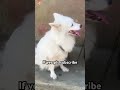 If you will pls subscribe