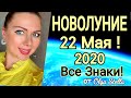 ОБЩИТЕЛЬНОЕ! НОВОЛУНИЕ 22 МАЯ 2020 /НОВОЛУНИЕ В БЛИЗНЕЦАХ 22 05 2020