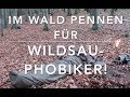 Wildsauphobie: Bevor es daran scheitert, kann man...