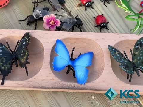 The Octagonal Bug Hotel 🐞 - video from KCS Education