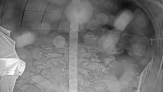Live Camera Axis P1435-LE