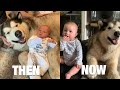 The Best 6 Months Of Our Lives! This Is Mia's Journey (CUTEST VIDEO EVER!!)