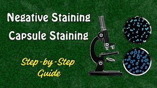 Negative Staining & Capsule Staining: Step-by-Step Tutorial for Clear Microbial Visualization
