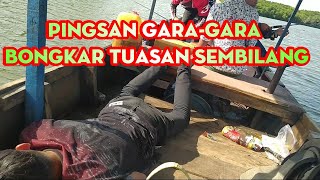 gara gara bongkar tuasan  sembilang jadi kena patil nya sembilang