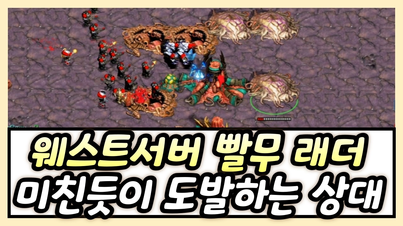 웨스트서버 빨무 래더 도전! 일꾼겹치기를 쓰네?