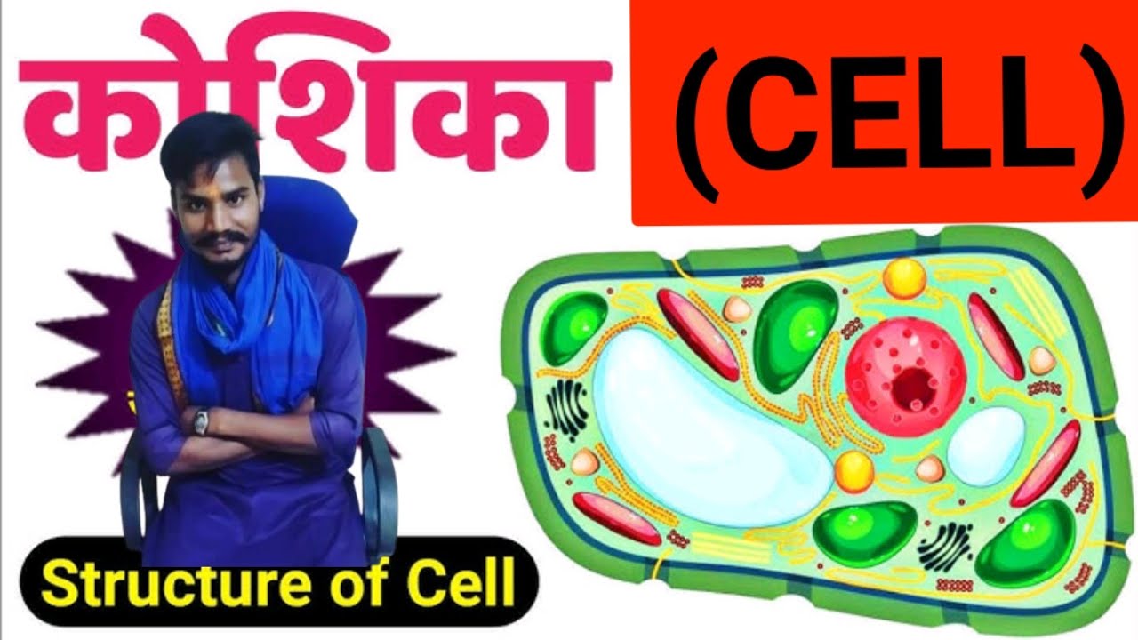 Kumar Cell #cell ( कोशिका) for all Gov exam by -Babloo Kumar - YouTube