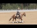 Josh Docktor & Dukes Dually NRCHA Limited Open Hackamore ~ 2015 NWRCHA Day In The Park