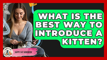 What Is The Best Way To Introduce A Kitten? - Happy Cat Handbook