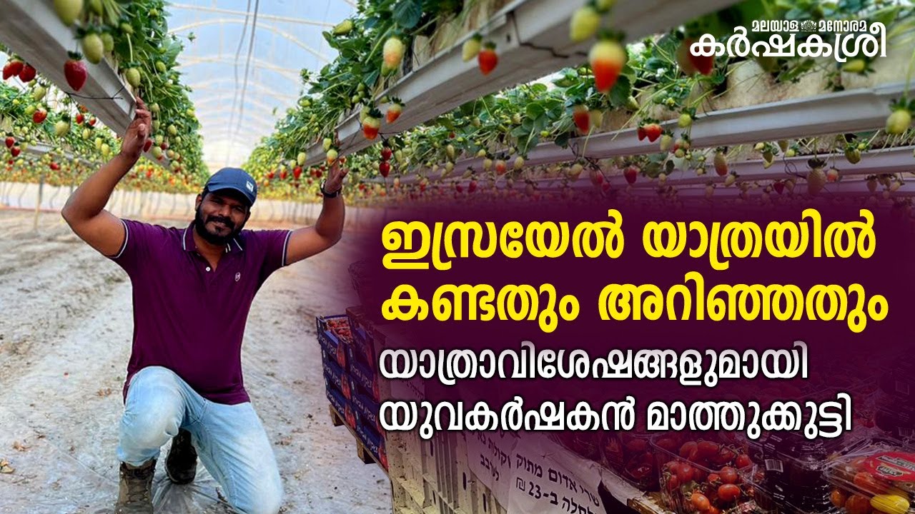 ഇസ്രയേൽ യാത്രയിൽ കണ്ടതും അറിഞ്ഞതും: യാത്രാവിശേഷങ്ങളുമായി യുവകർഷകൻ മാത്തുക്കുട്ടി ​|Israel Farm Visit