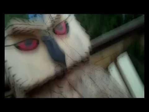 Sendelica — SENDELICA SEAROWHIT PROMO VIDEO