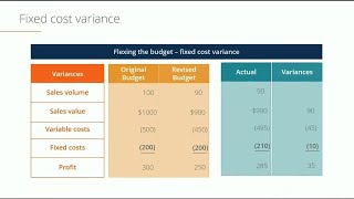 variance report