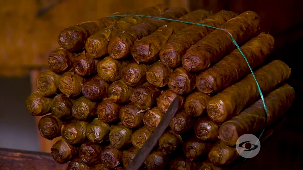 Proceso de transformación del tabaco