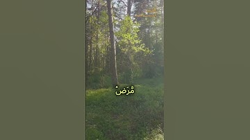 تلاوه ما تيسر من سورة الاحزاب {11-12} - للقارئِ الشيخِ : الحسينْ أحمدْ